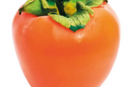 Persimmon