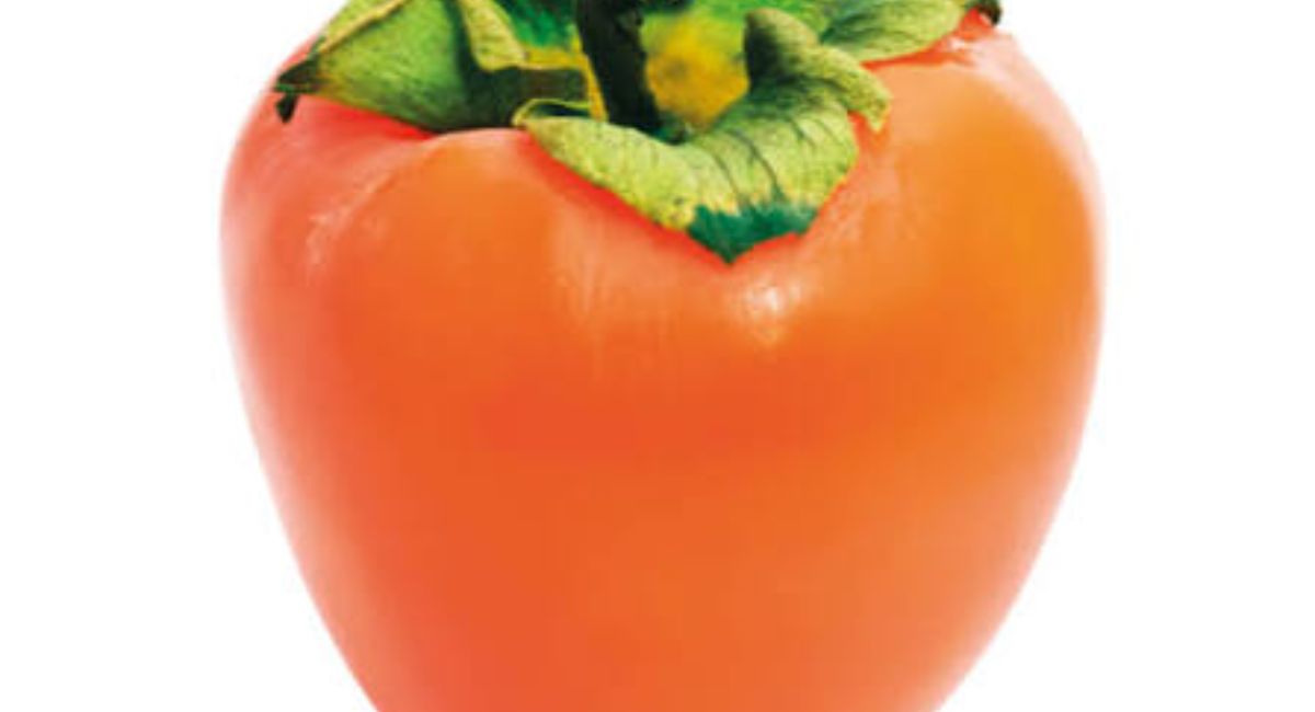 Persimmon